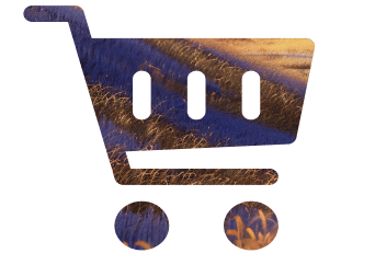 e-com image