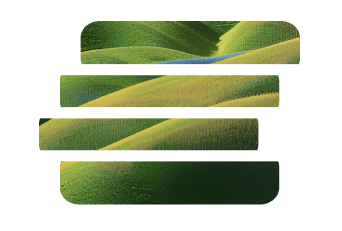 payment-solutions image