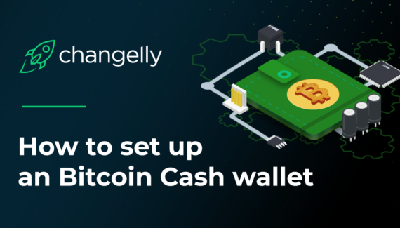 How to Bitcoin Cash Wallet