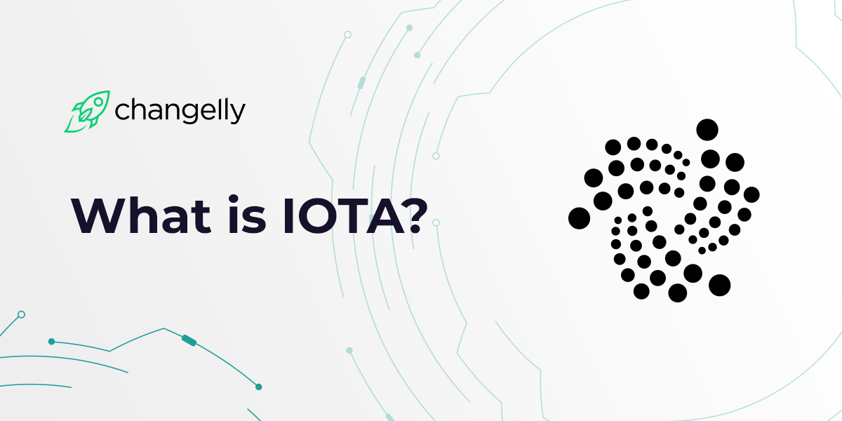 companies invested in iota