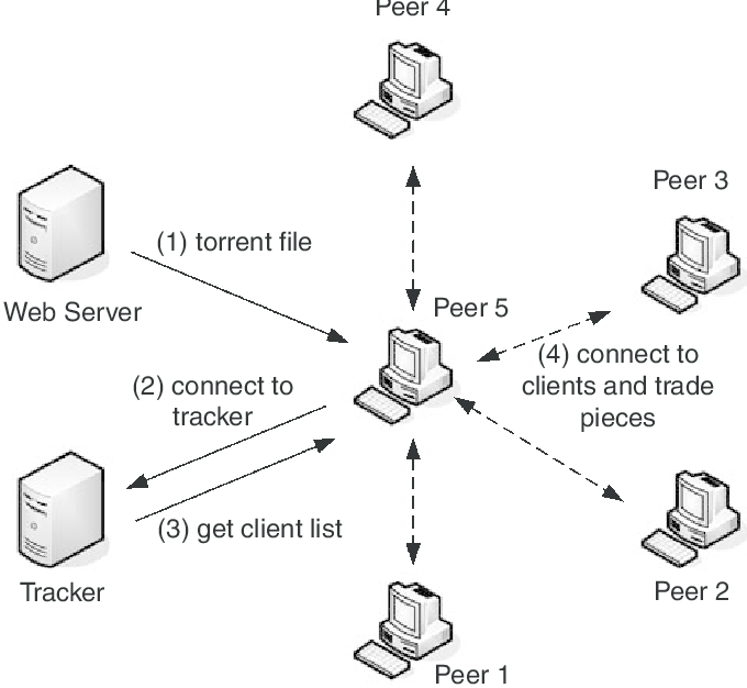 torrent network structure scheme