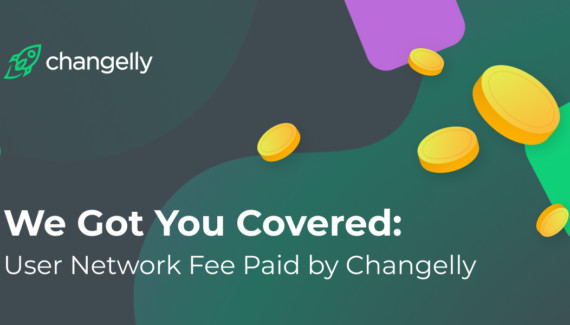 User network fees paid by Changelly