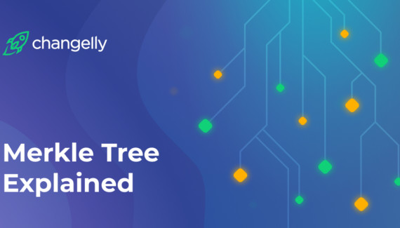 Features of using the Merkle tree in blockchain and Bitcoin