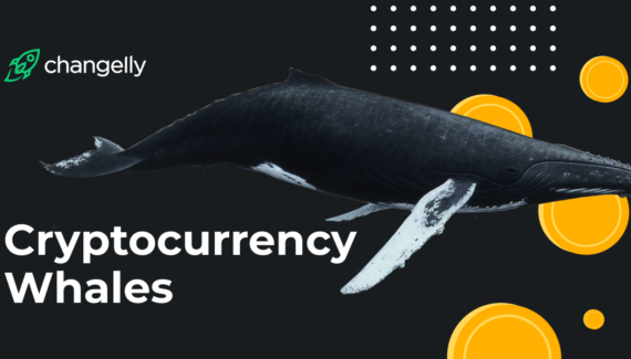 Cryptocurrency Whales