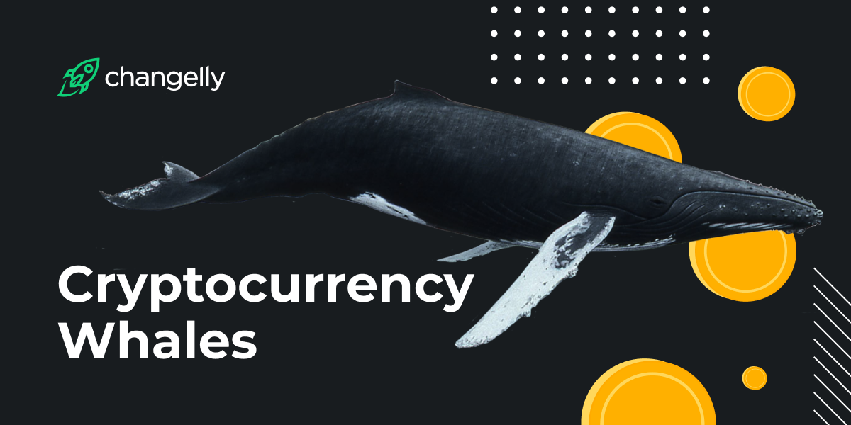 whales crypto meaning