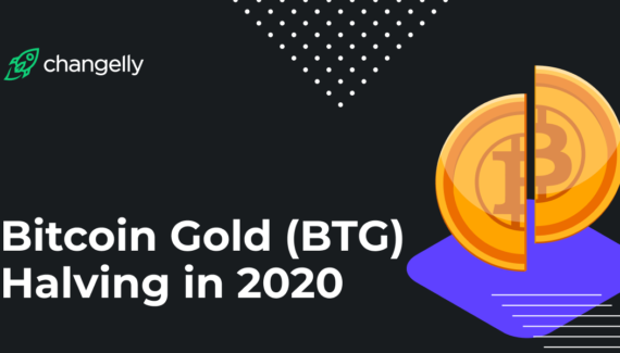 Bitcoin Gold (BTG) Halving in 2020