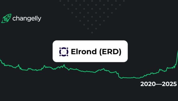 Elrond (ERD) Price Prediction for 2020-2025