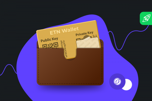 crypto wallet accepts etn