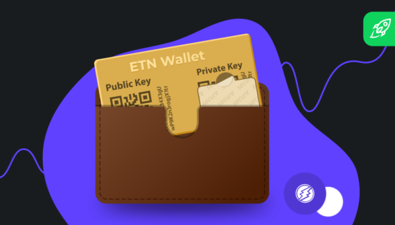 Guide on Electroneum (ETN) Cryptocurrency Wallets