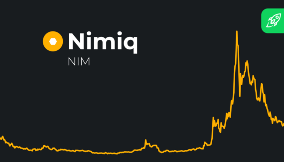 Nimiq Coin Price Prediction article cover with charts