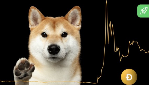 An Official Statement from Changelly. Behind the DOGE Incident