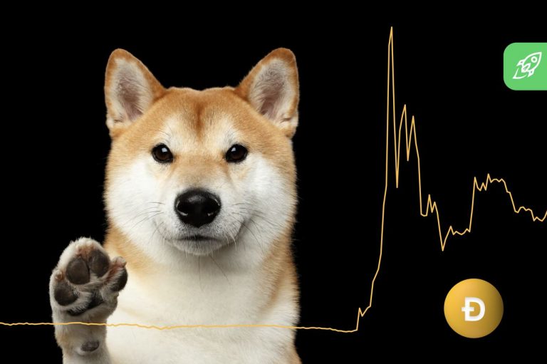 An Official Statement from Changelly. Behind the DOGE Incident