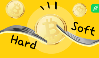 What Is a Fork in a Blockchain? Hard Fork and Soft Fork, Explained