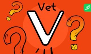 What Is Vet Coin? VeChain Explained