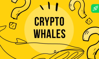 what are crypto whales?
