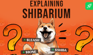 What is Shibarium header image