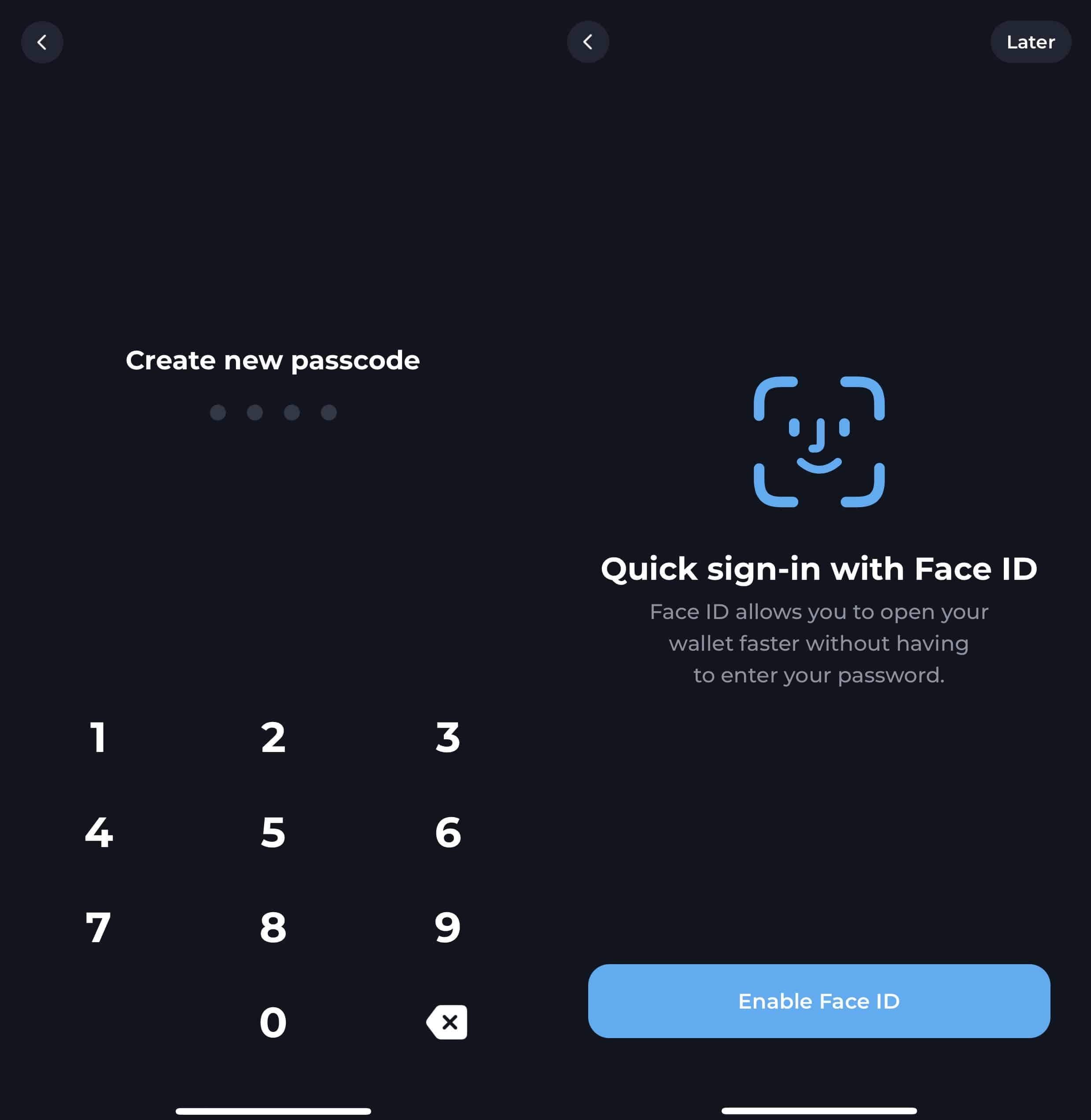 Tonkeeper password and biometric screenshots