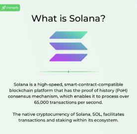 What does the Solana Crypto do