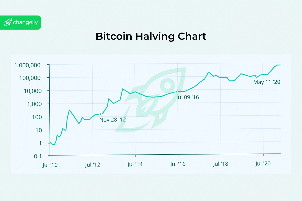 Bitcoin price chart with halving dates marked