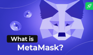 What is MetaMask article header image