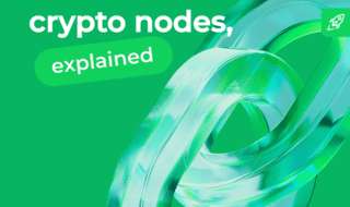 What are crypto nodes article header image